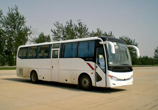 金龙客车51座
